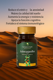 Ashwagandha Natural: Equilibra tu Estrés y Energía de Forma Saludable